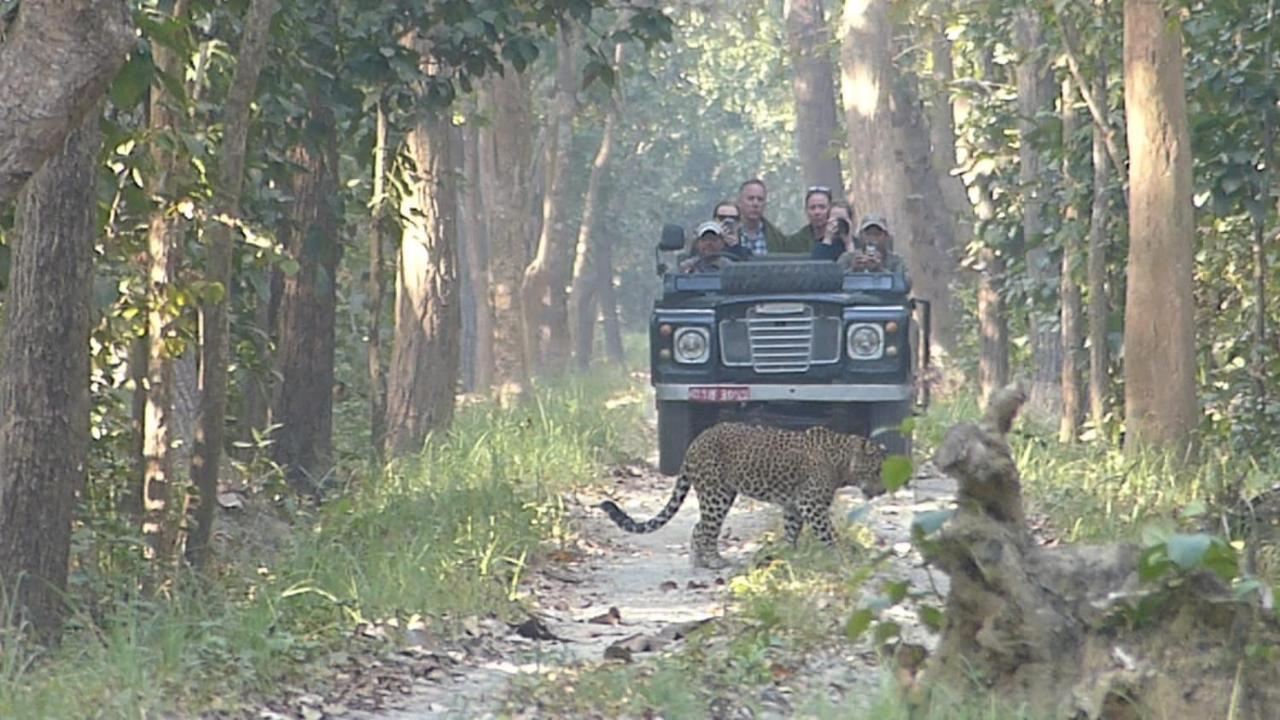 Tiger Tops Karnali Lodge Bardiya Εξωτερικό φωτογραφία