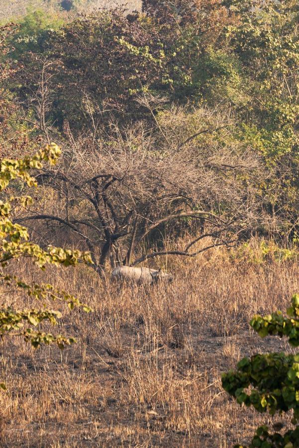 Tiger Tops Karnali Lodge Bardiya Εξωτερικό φωτογραφία